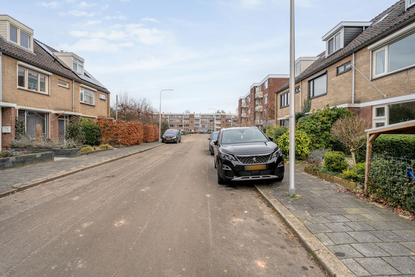 Foto 40 van Helene Swarthstraat 20