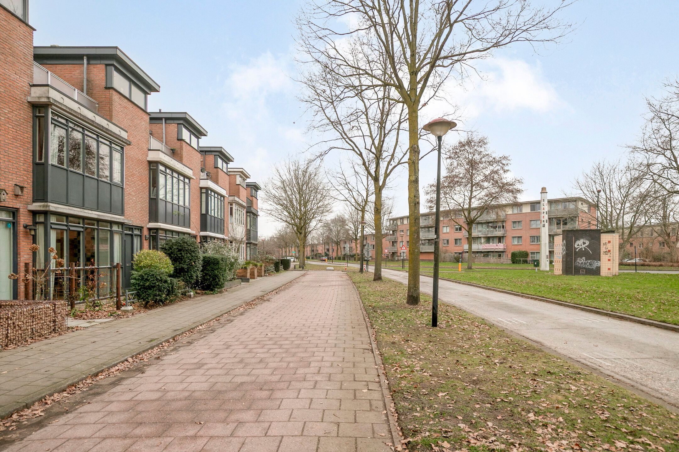 Photo 33 of Duizendguldenkruid 55