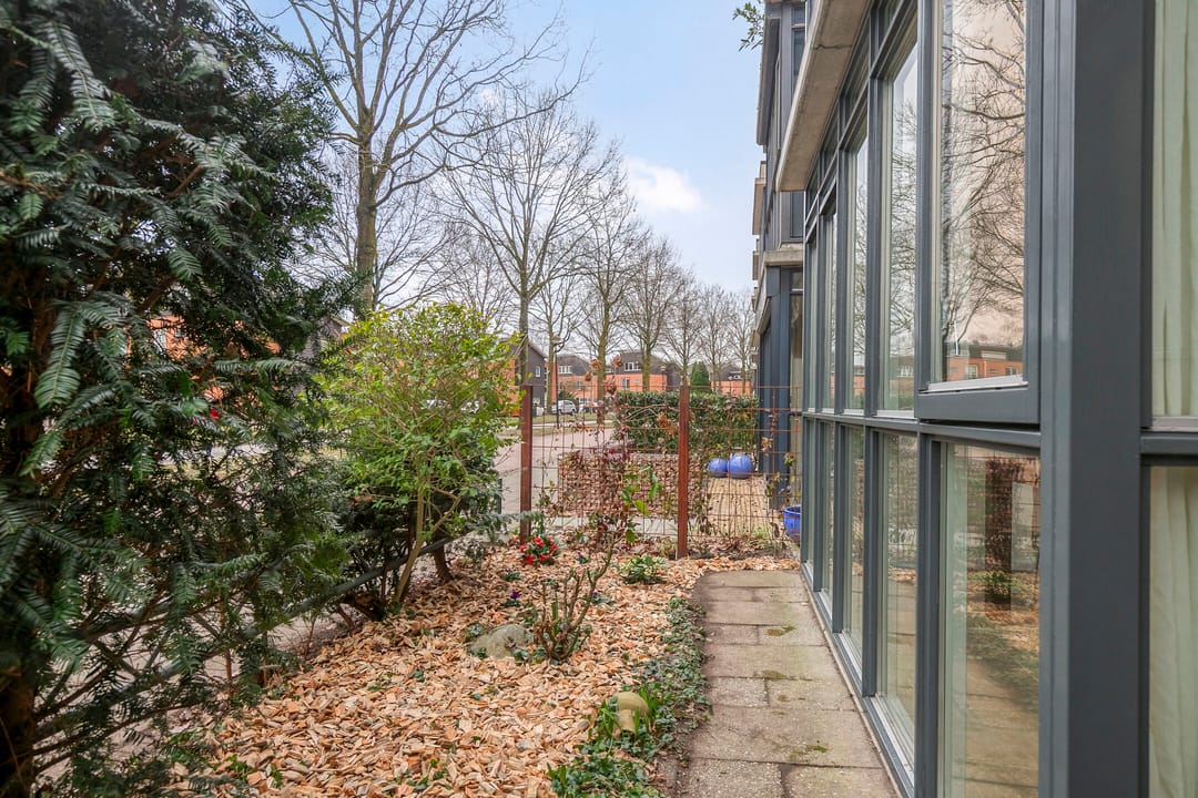 Photo 32 of Duizendguldenkruid 55