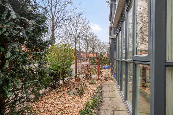 Foto 32 van Duizendguldenkruid 55