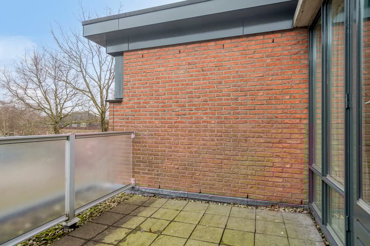 Foto 21 van Duizendguldenkruid 55