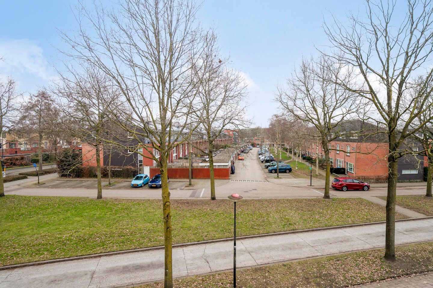 Photo 25 of Duizendguldenkruid 55