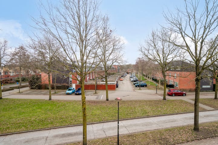 Foto 25 van Duizendguldenkruid 55