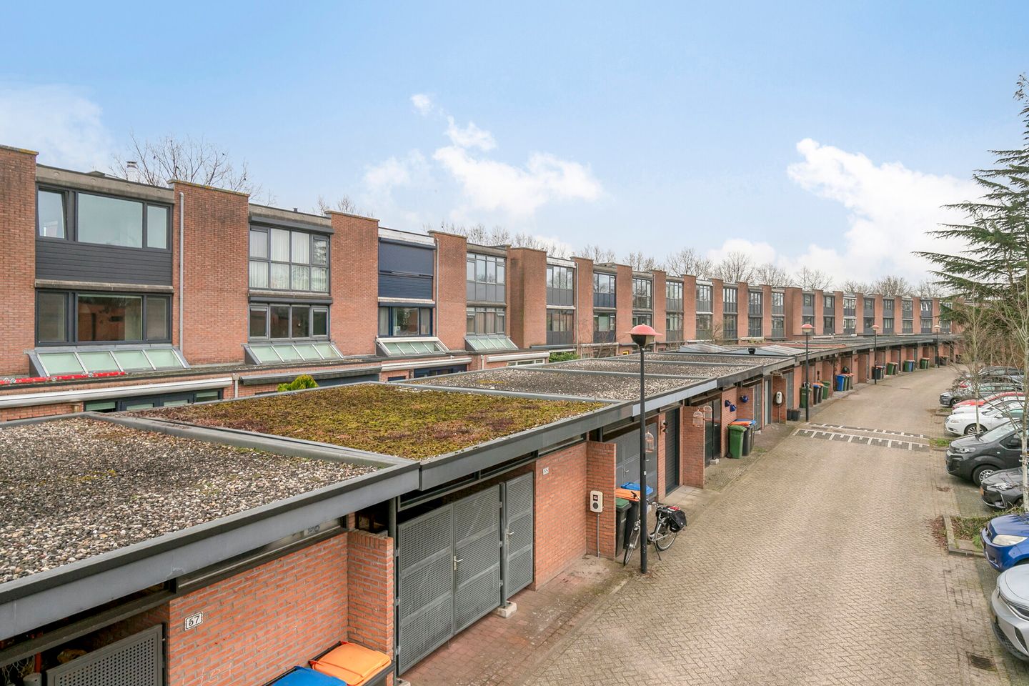 Photo 34 of Duizendguldenkruid 55