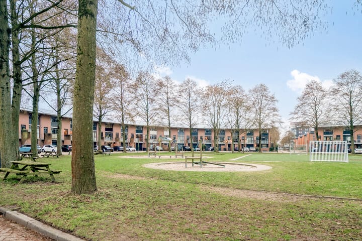 Foto 36 van Duizendguldenkruid 55