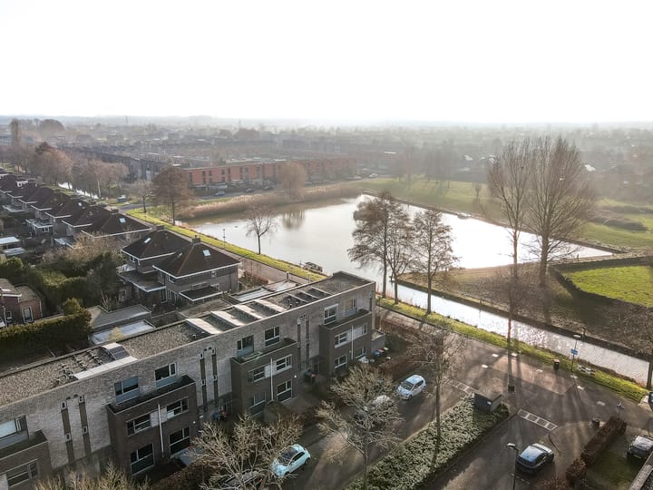 Foto 55 van Nienoord 41