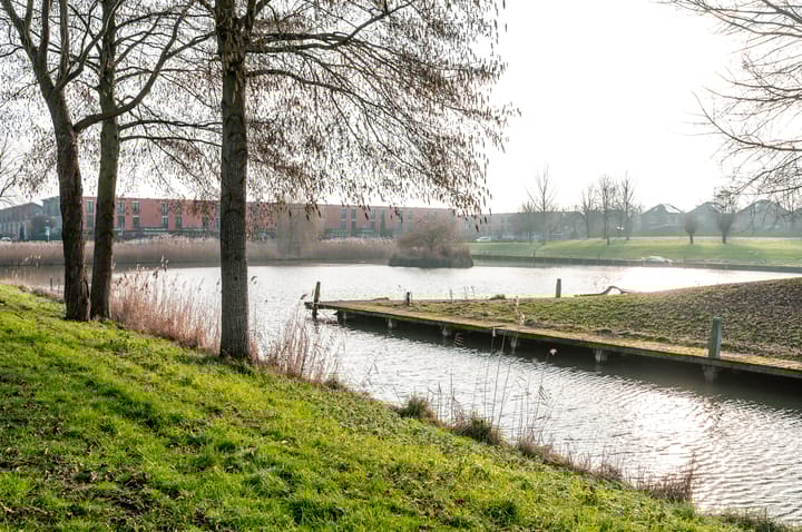 Foto 48 van Nienoord 41