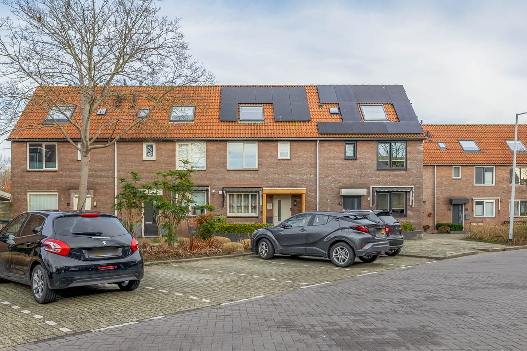 Photo 2 of Branding 69