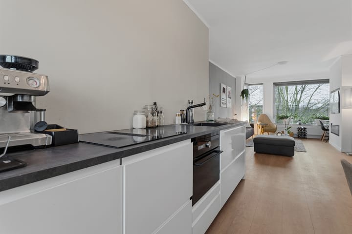 Photo 10 of Victor Hugoplantsoen 14-3