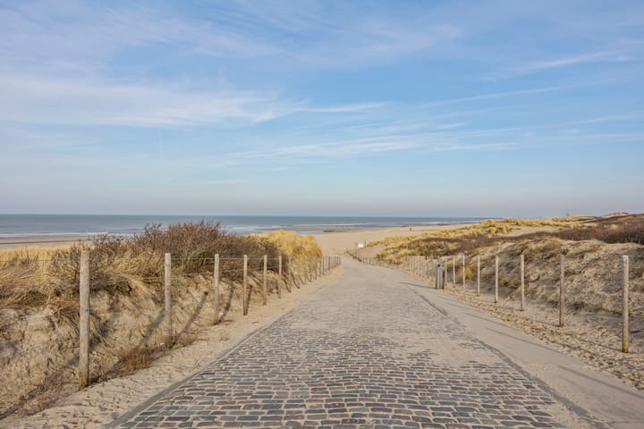 Foto 43 van Mozartlaan 242