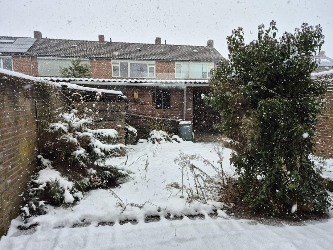 Foto 11 van Zandkuil 4