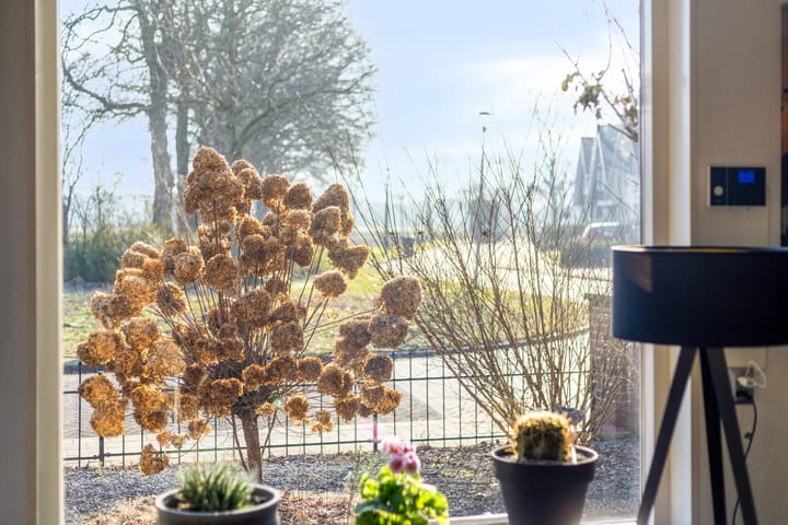 Foto 15 van Schoolstraat 7