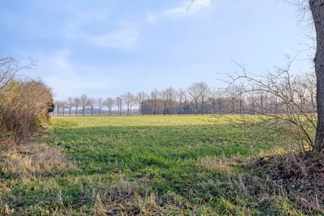 Schoolstraat 7 tertiary image