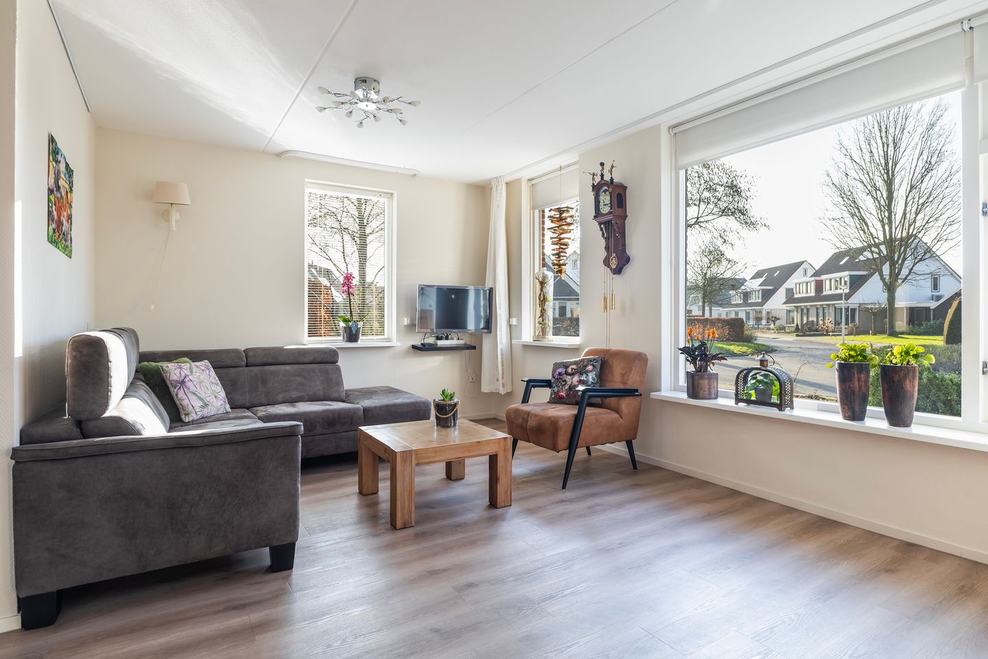 Foto 4 van Lisdodde 7