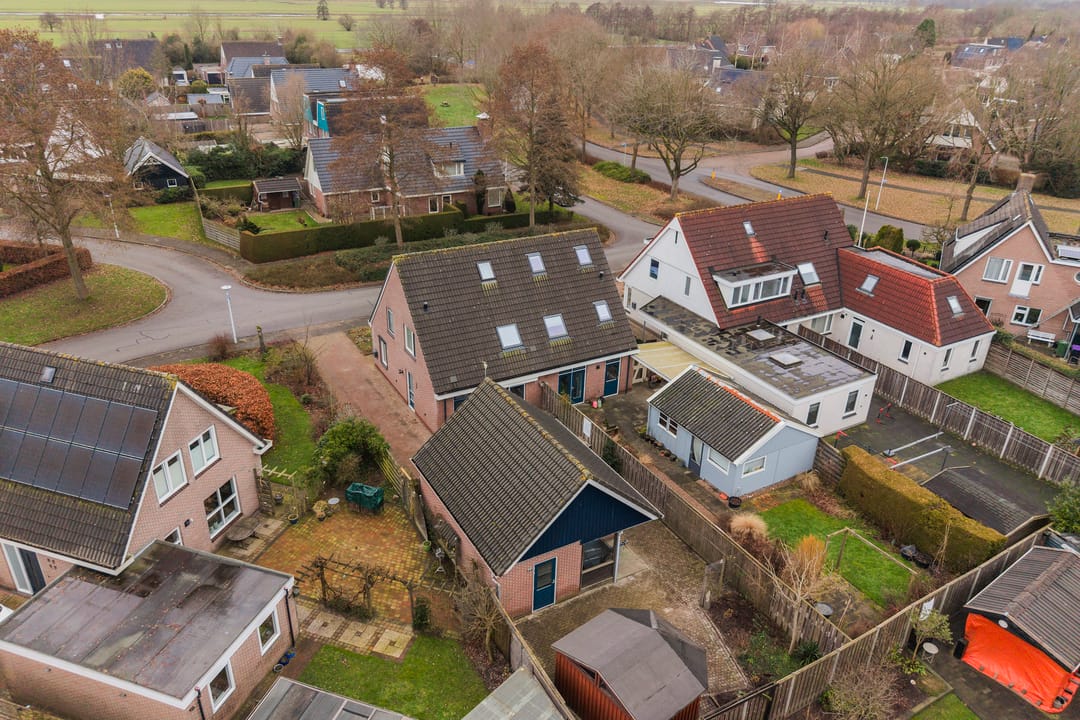 Foto 2 van Lisdodde 7