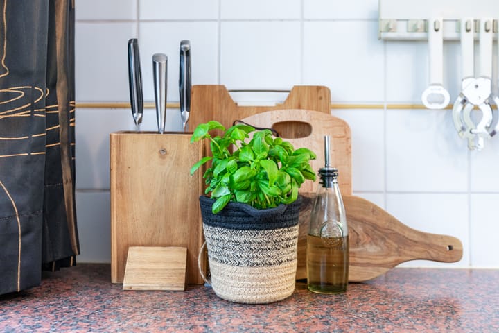 Photo 8 of Prins Mauritsweg 11