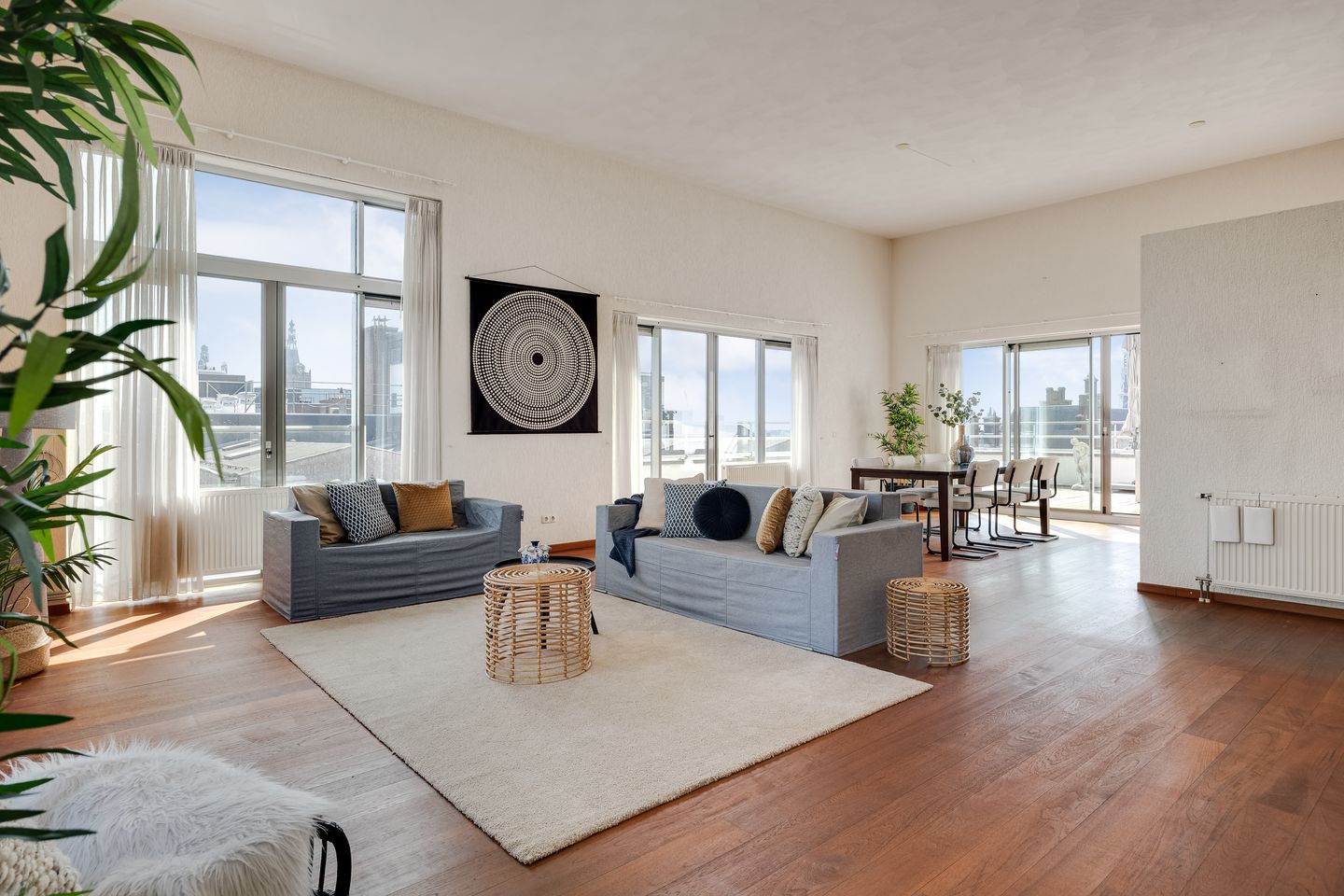 Foto 19 van Scheidingstraat 55