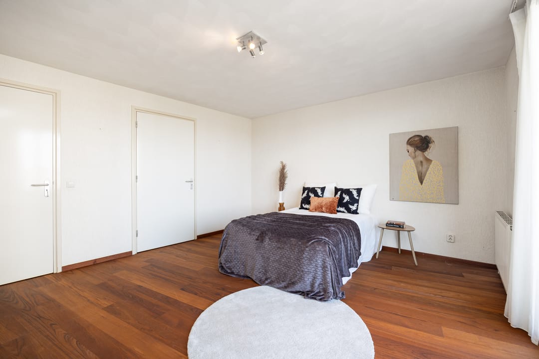 Foto 43 van Scheidingstraat 55