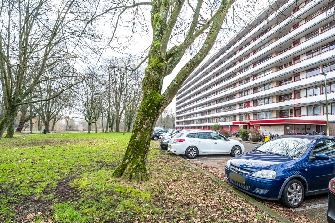 Foto 56 van Korfoedreef 181