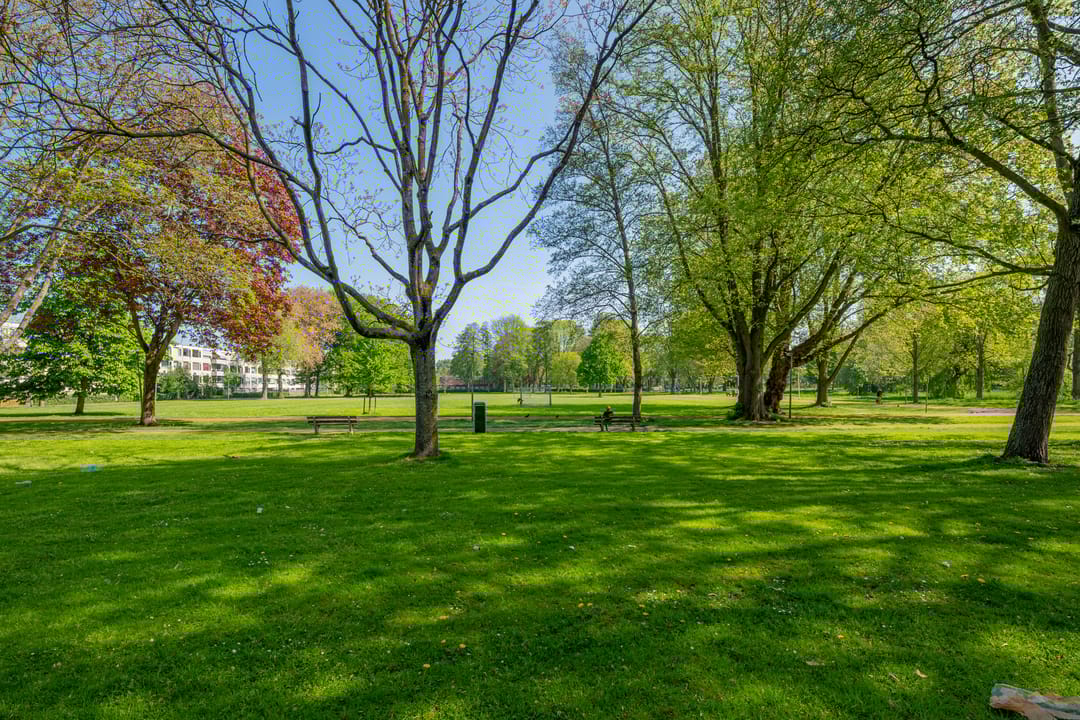 Foto 62 van Korfoedreef 181