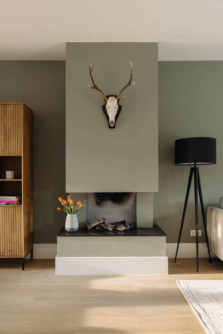 Foto 10 van Hugo de Grootstraat 1