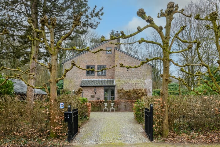 Jacques van Mourikpad 5 main image