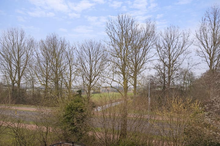 Foto 29 van Graaf Willemstraat 196