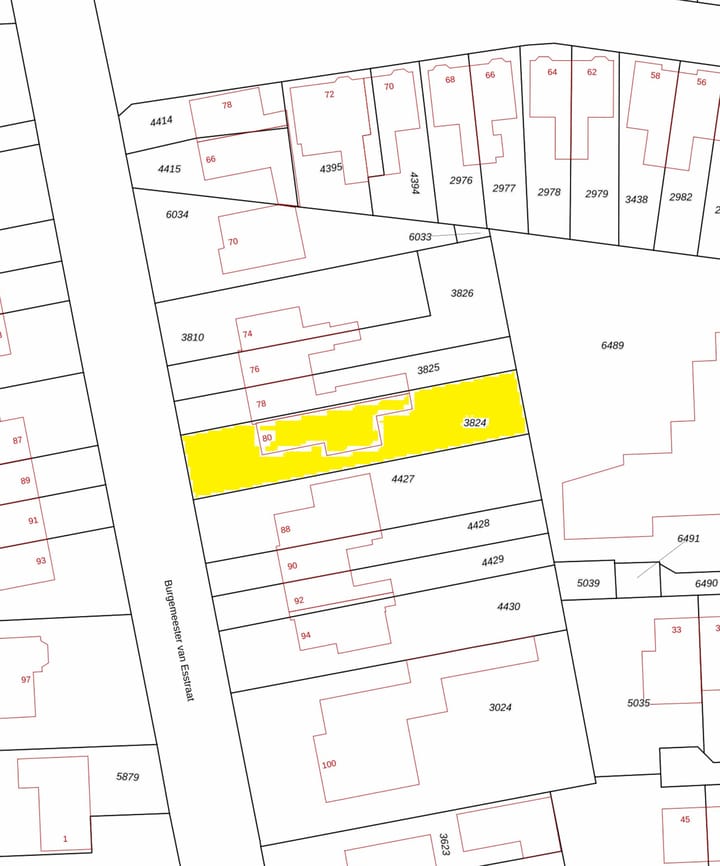 Foto 37 van Burgemeester van Esstraat 80