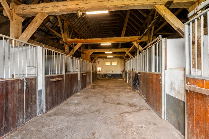 Photo 39 of Zuidlooërweg 5