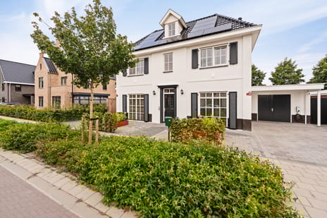 Koploper 20 tertiary image