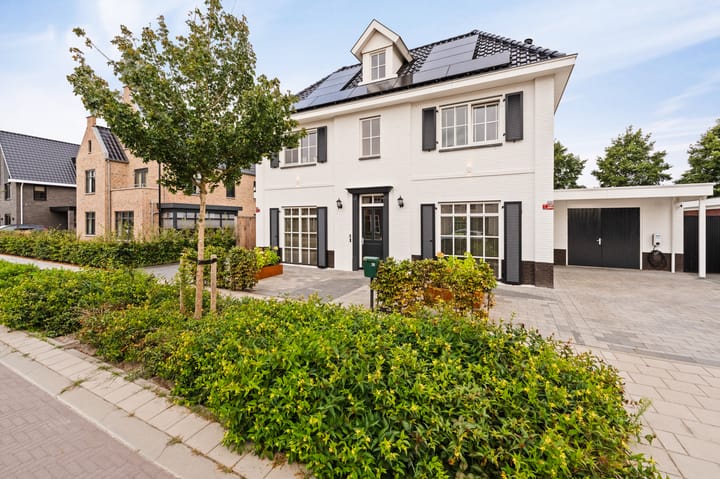 Foto 3 van Koploper 20