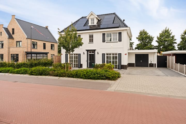 Foto 8 van Koploper 20