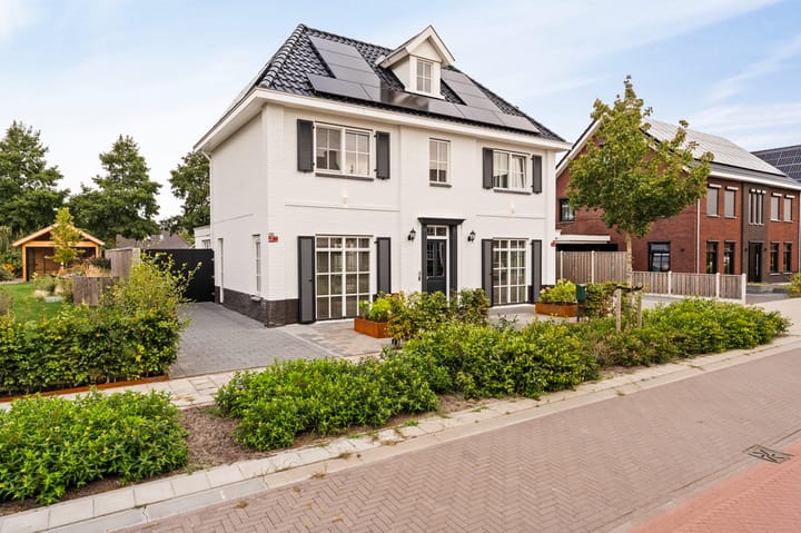 Foto 10 van Koploper 20