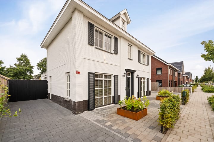 Foto 12 van Koploper 20