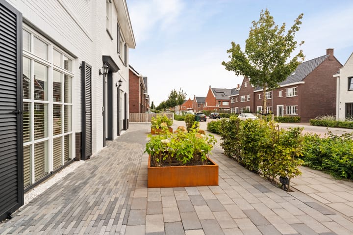 Foto 14 van Koploper 20