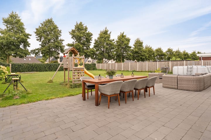 Foto 52 van Koploper 20