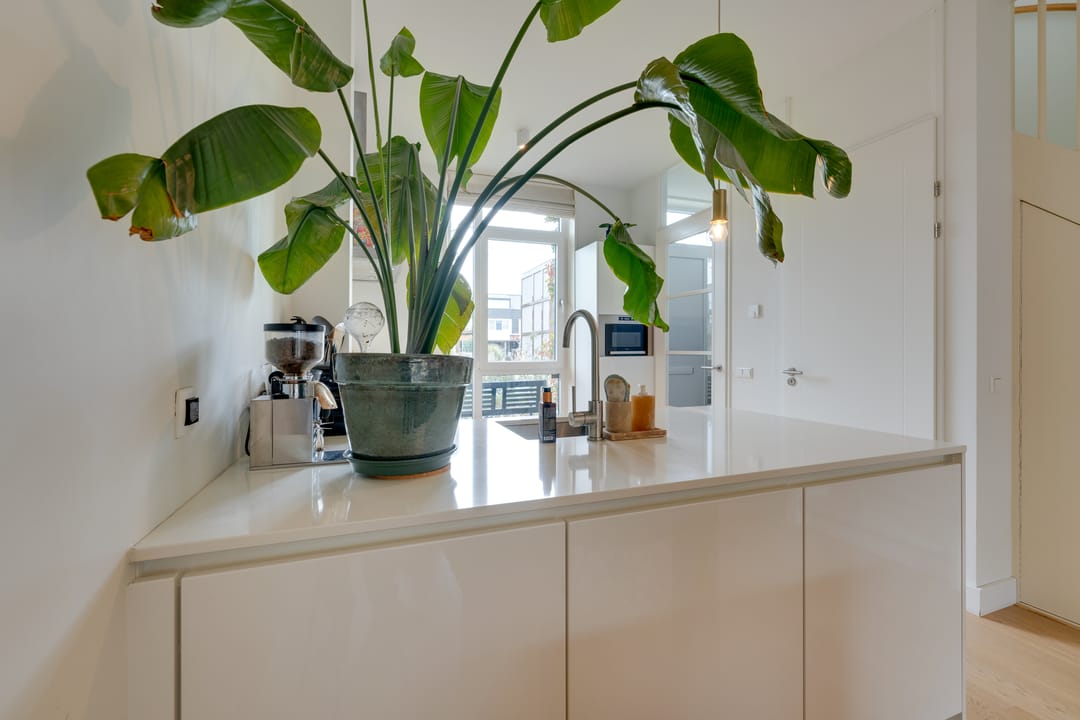 Foto 22 van Scheepsbouwweg 159