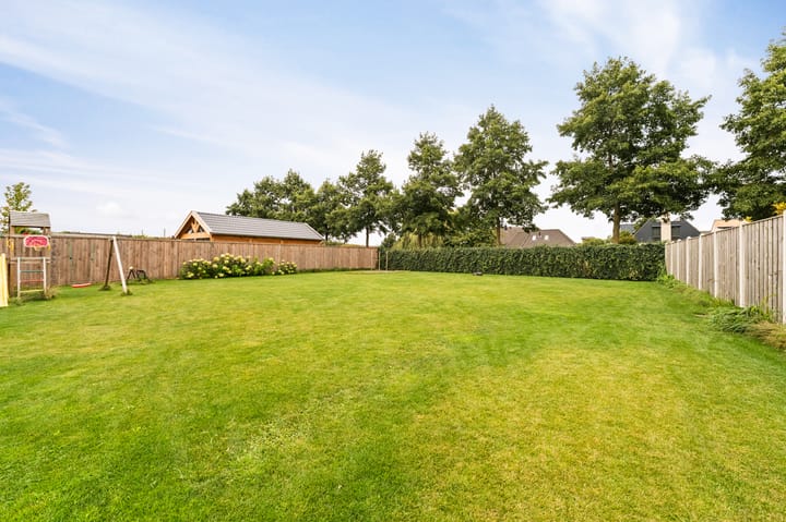 Foto 56 van Koploper 20