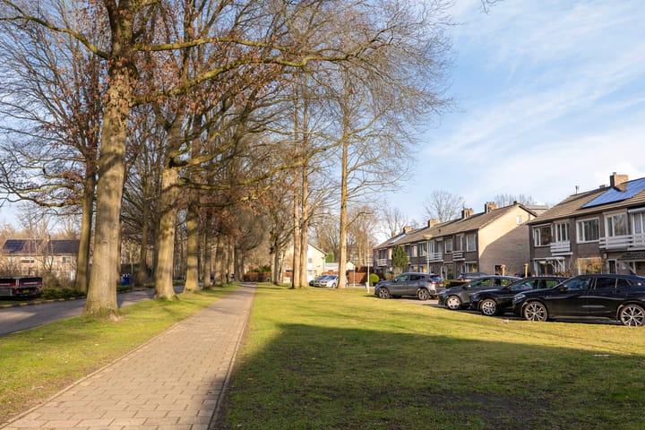 Foto 36 van Pieter Breughelstraat 34