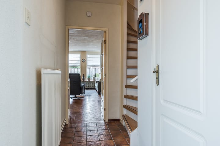 Foto 7 van Koraal 41