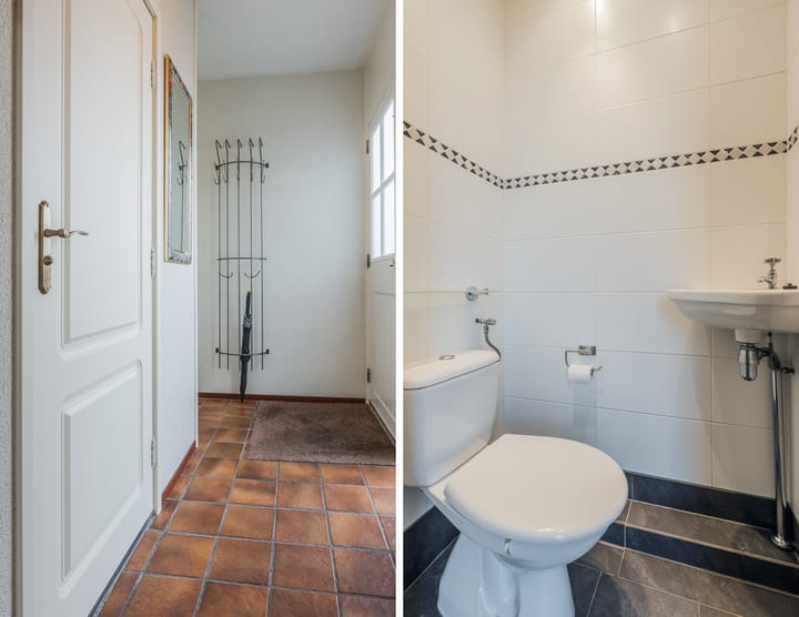 Foto 8 van Koraal 41