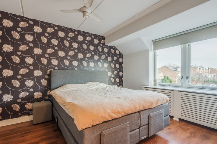 Foto 20 van Koraal 41