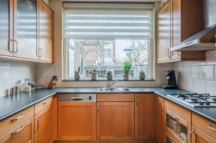 Foto 16 van Koraal 41