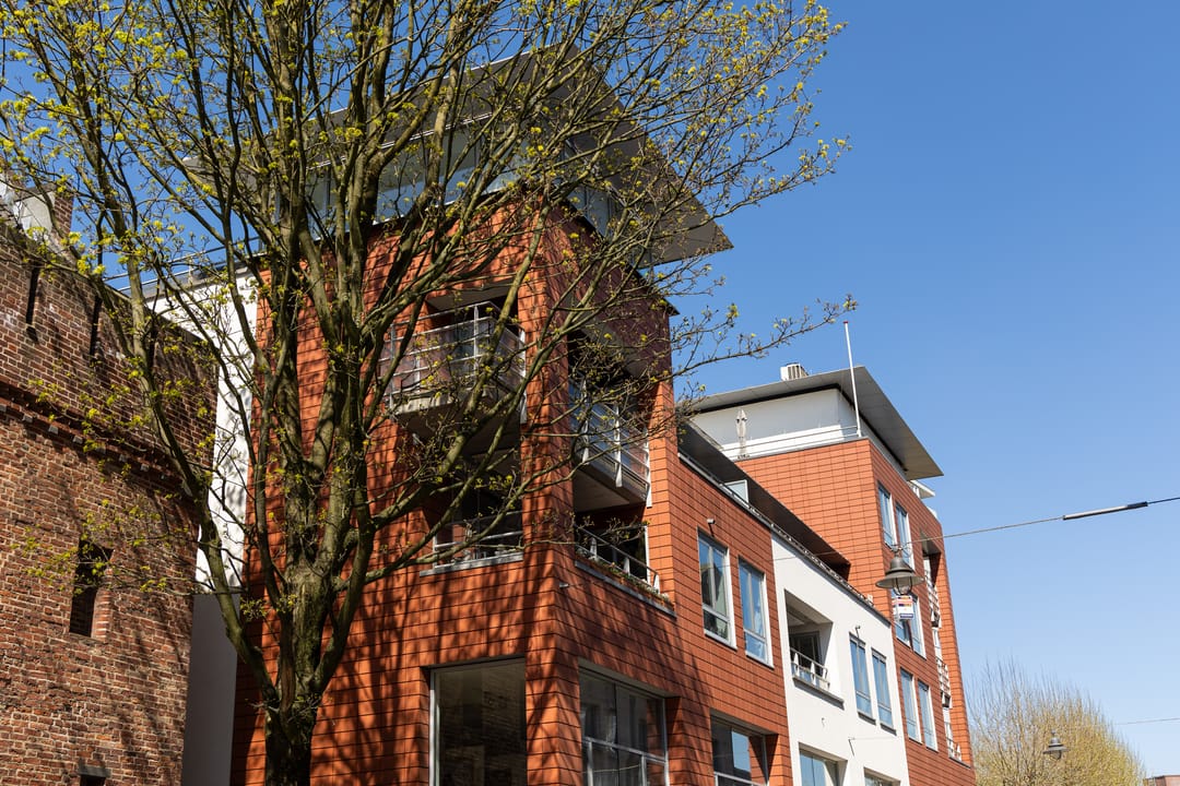 Photo 47 of Scheidingstraat 55