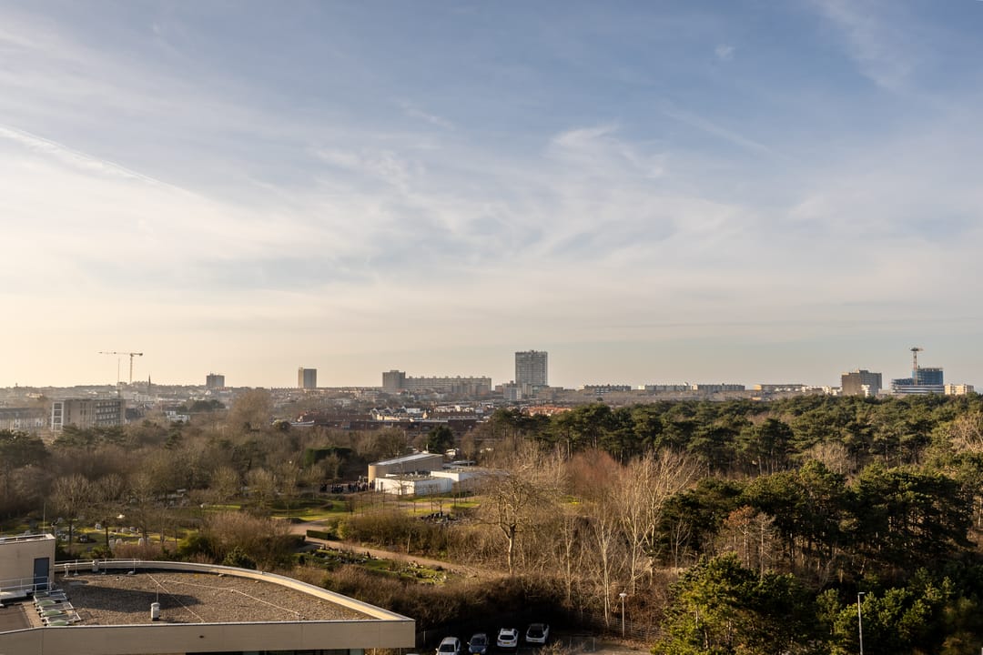 Foto 17 van Galileistate 91