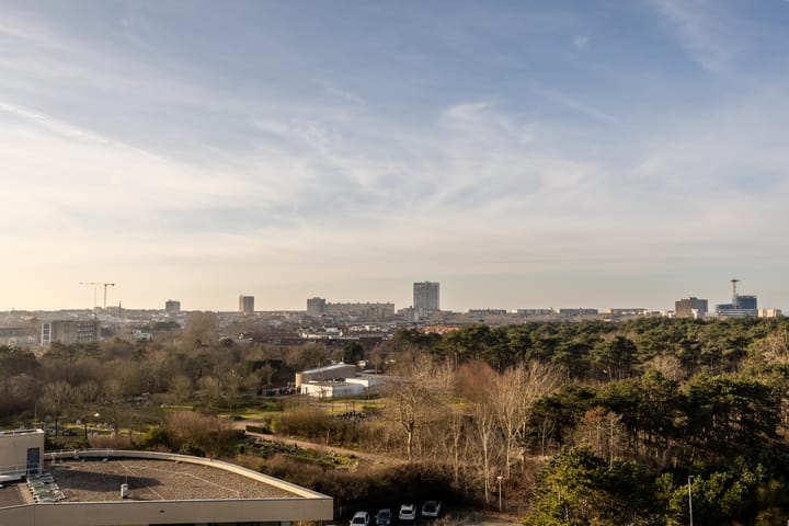 Foto 17 van Galileistate 91