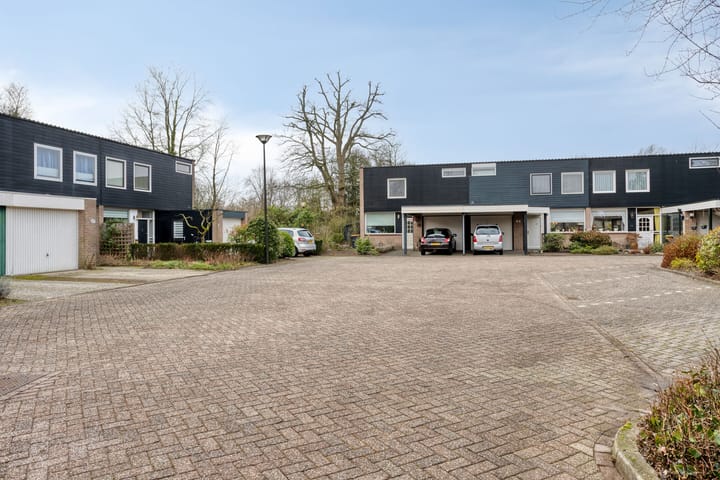 Foto 3 van Henri Dunantplein 14