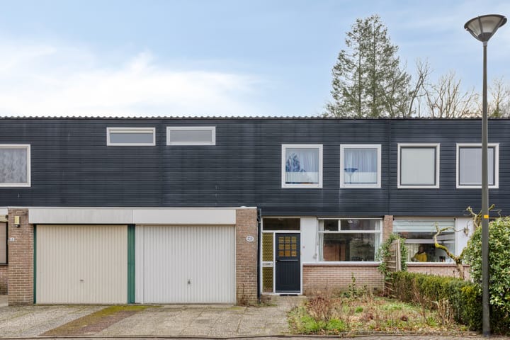 Foto 2 van Henri Dunantplein 14