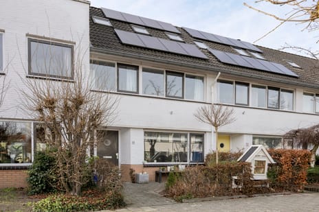 undefined main image