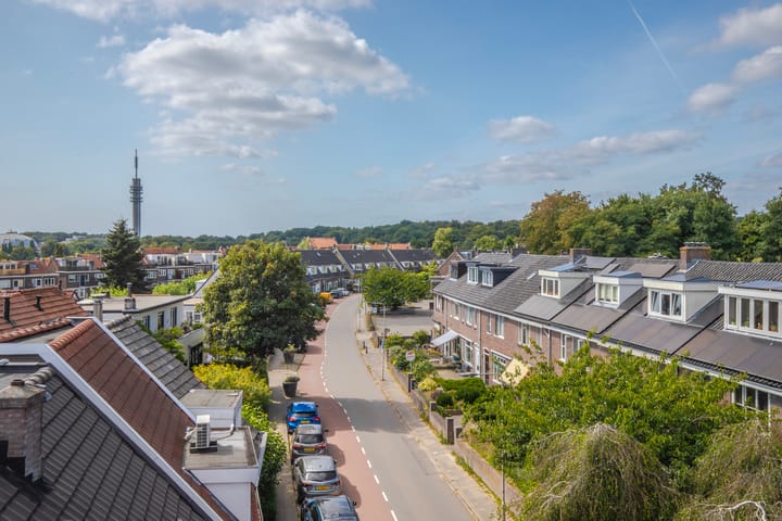 Foto 52 van Veluwestraat 1-A